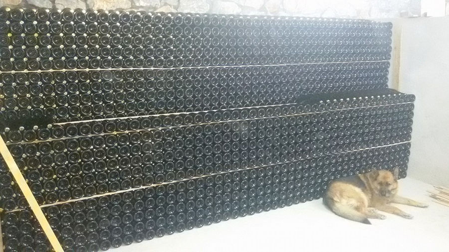a German shepherd is front the bottles on top of each other storaged on the ground in 'Domaine Karanika' cellar